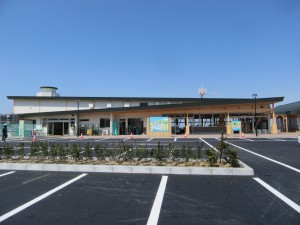 IMG_1230