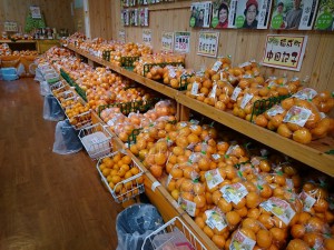 みかん１