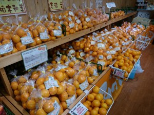 みかん２