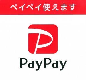 PAYPAY使えますロゴ_アリペイ抜き