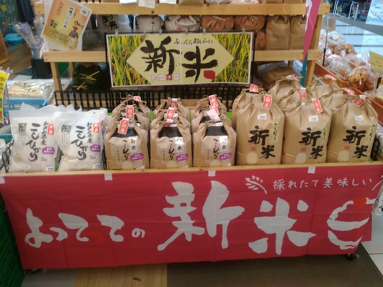 高知県産✨今週採れたて新米✨送料込み24キロ ☆新米！令和4年 茨城県産 コシヒカリ 特A 一等米 玄米