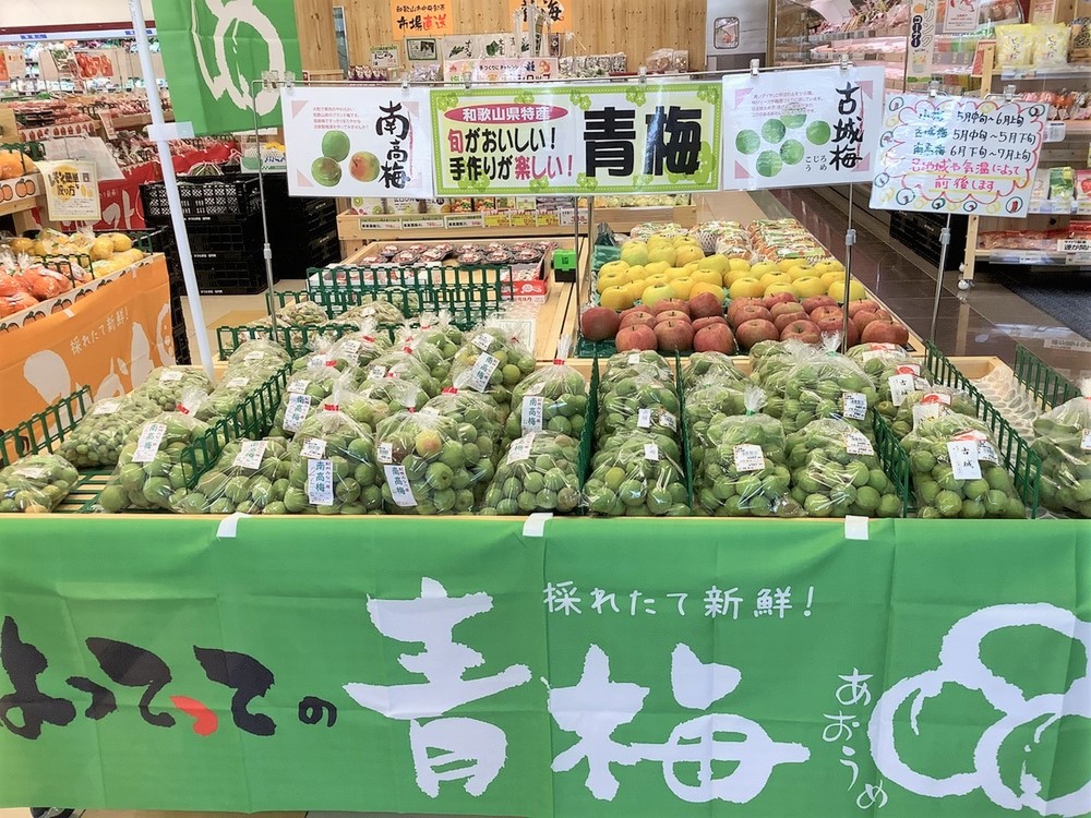 旬の「青梅」入荷中♪