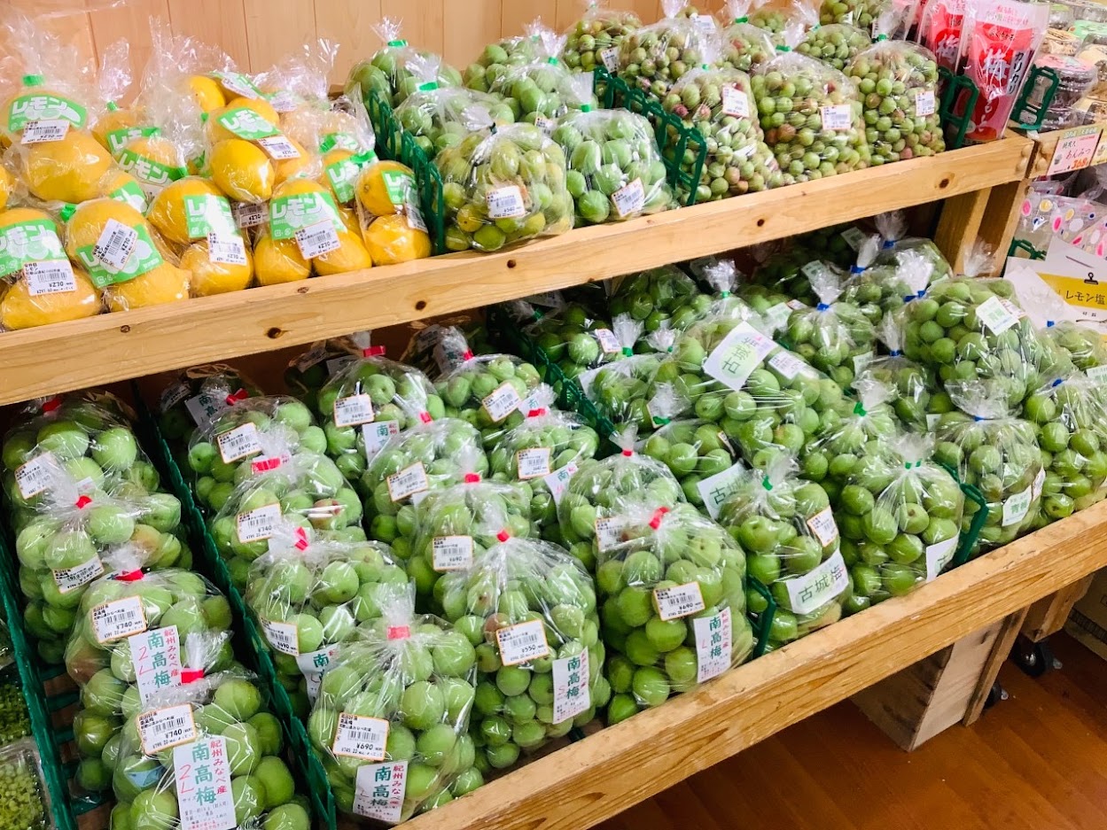 「梅」が豊富に入荷中♪