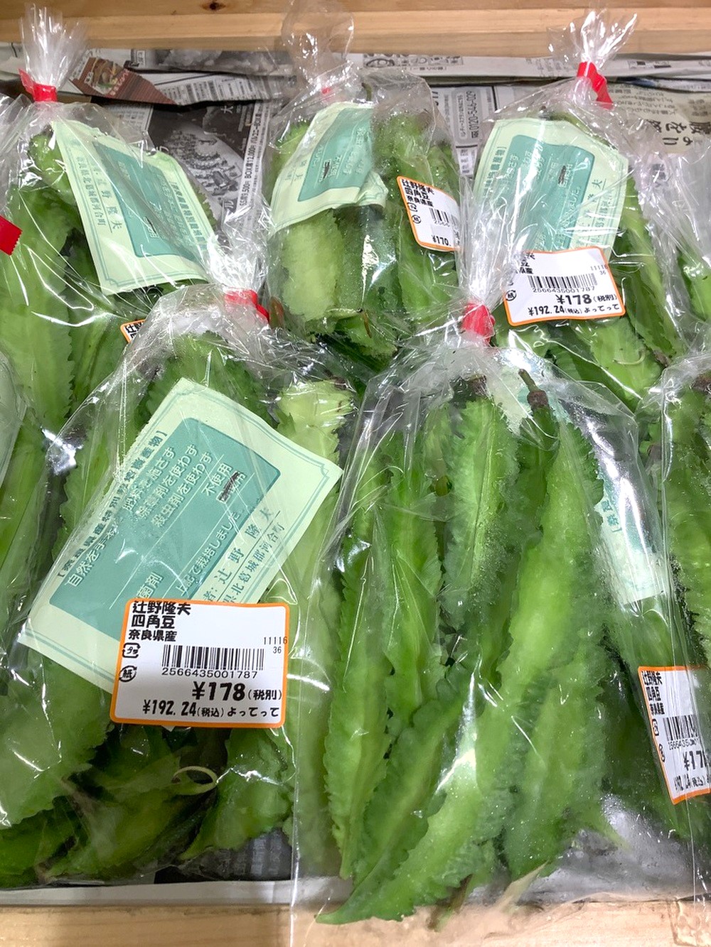 「四角豆」が入荷しております！