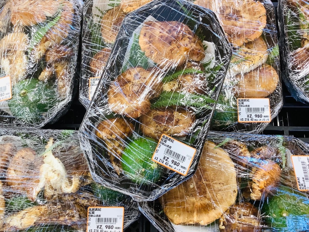 「早松茸」入荷しました！！