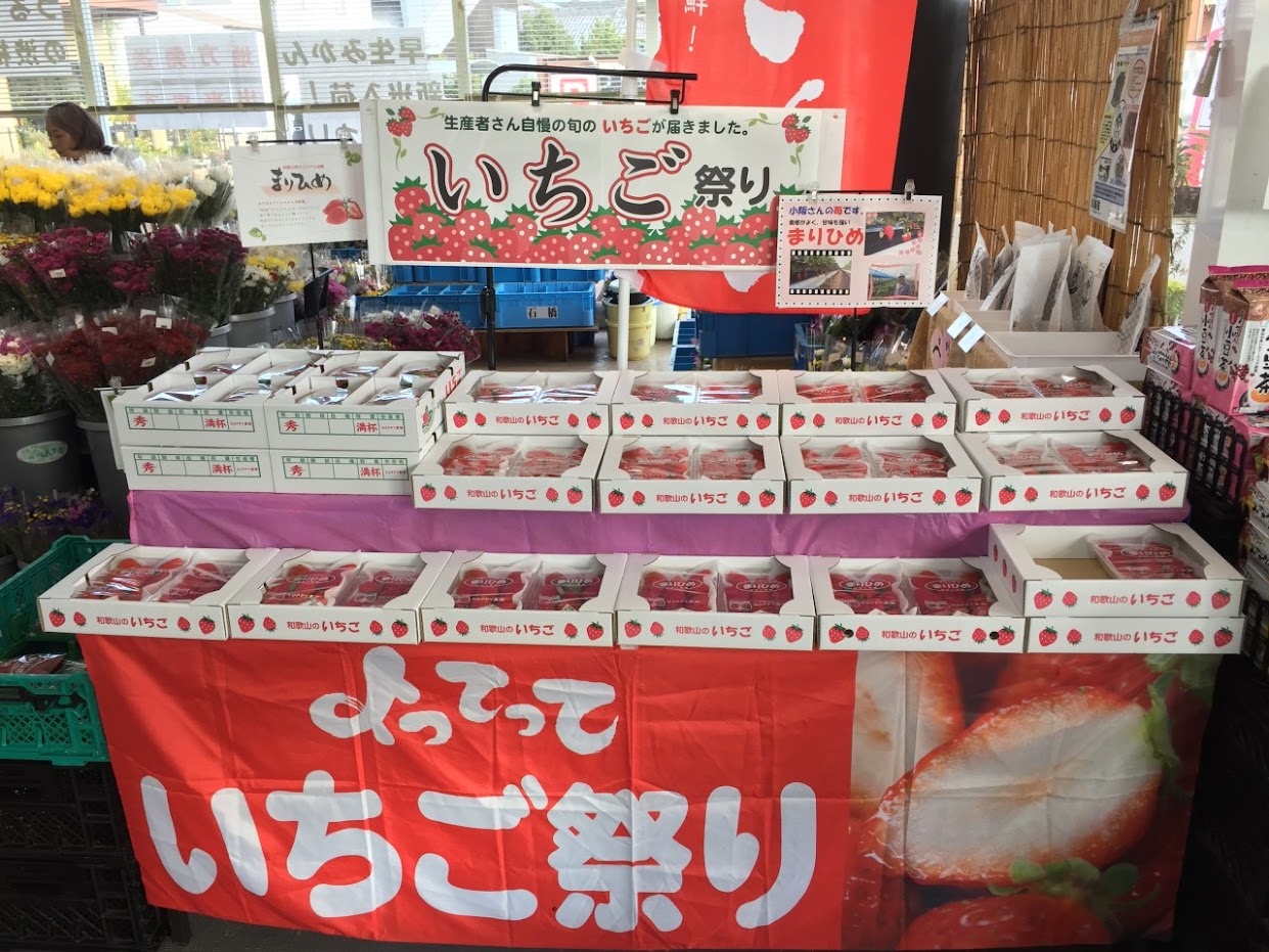今季初入荷！「まりひめ」