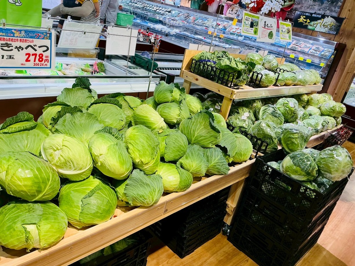 柔らかくてみずみずしい「春キャベツ」！