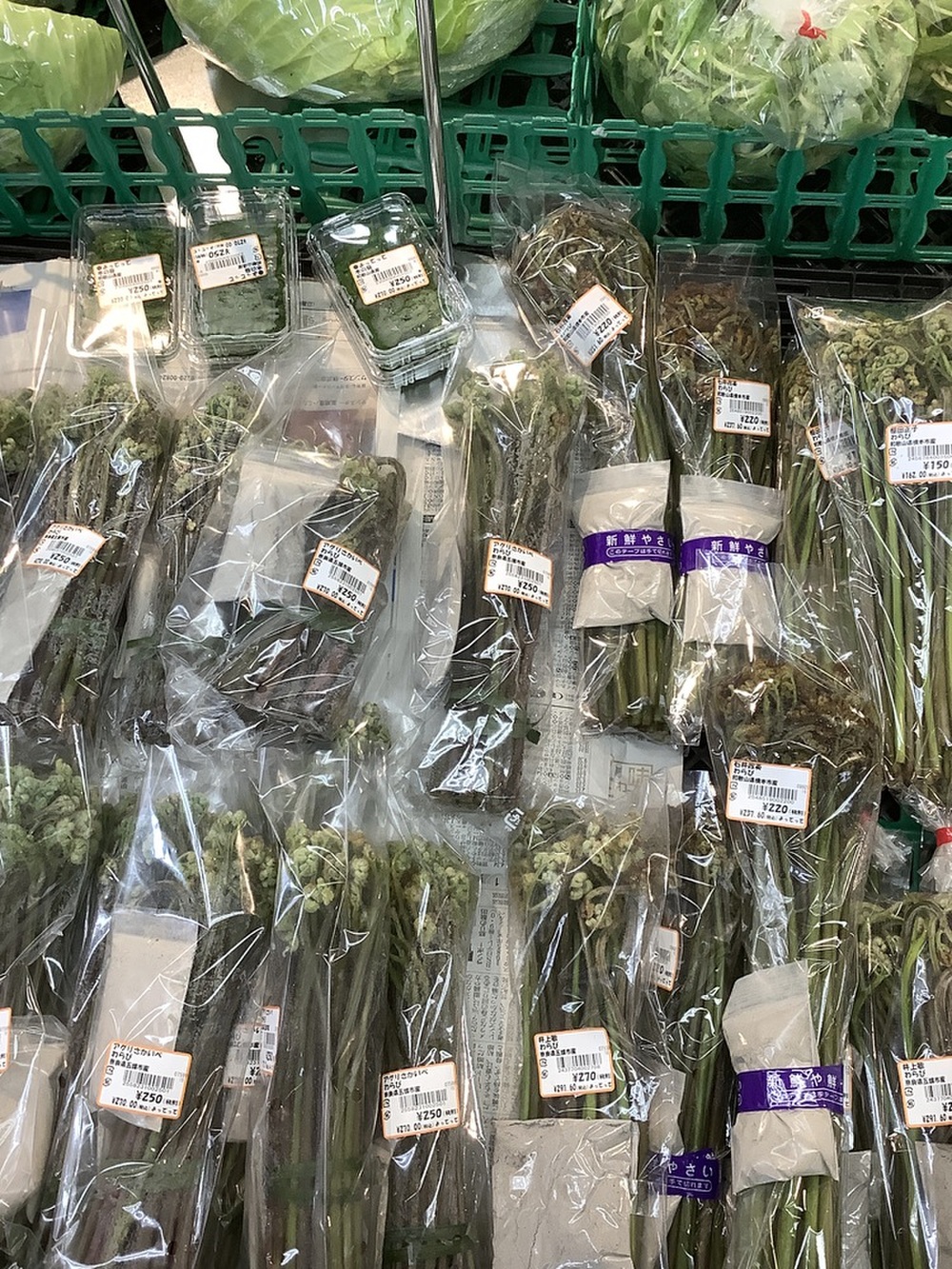 地元産「わらび」！