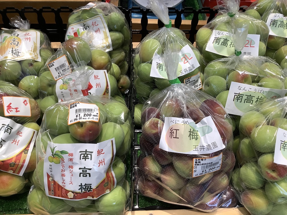今が旬の「南高梅」！