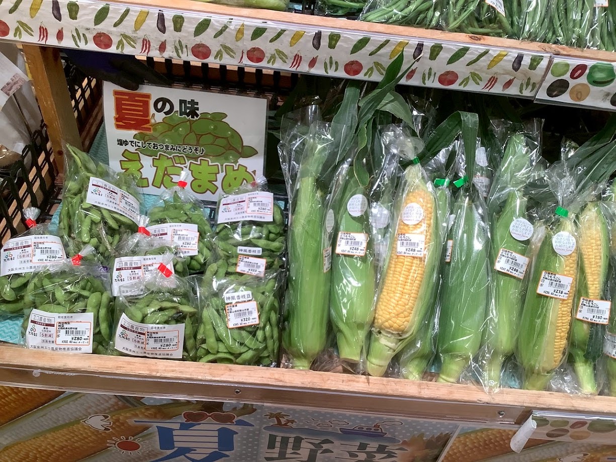 初夏の野菜・果物が続々と入荷中！