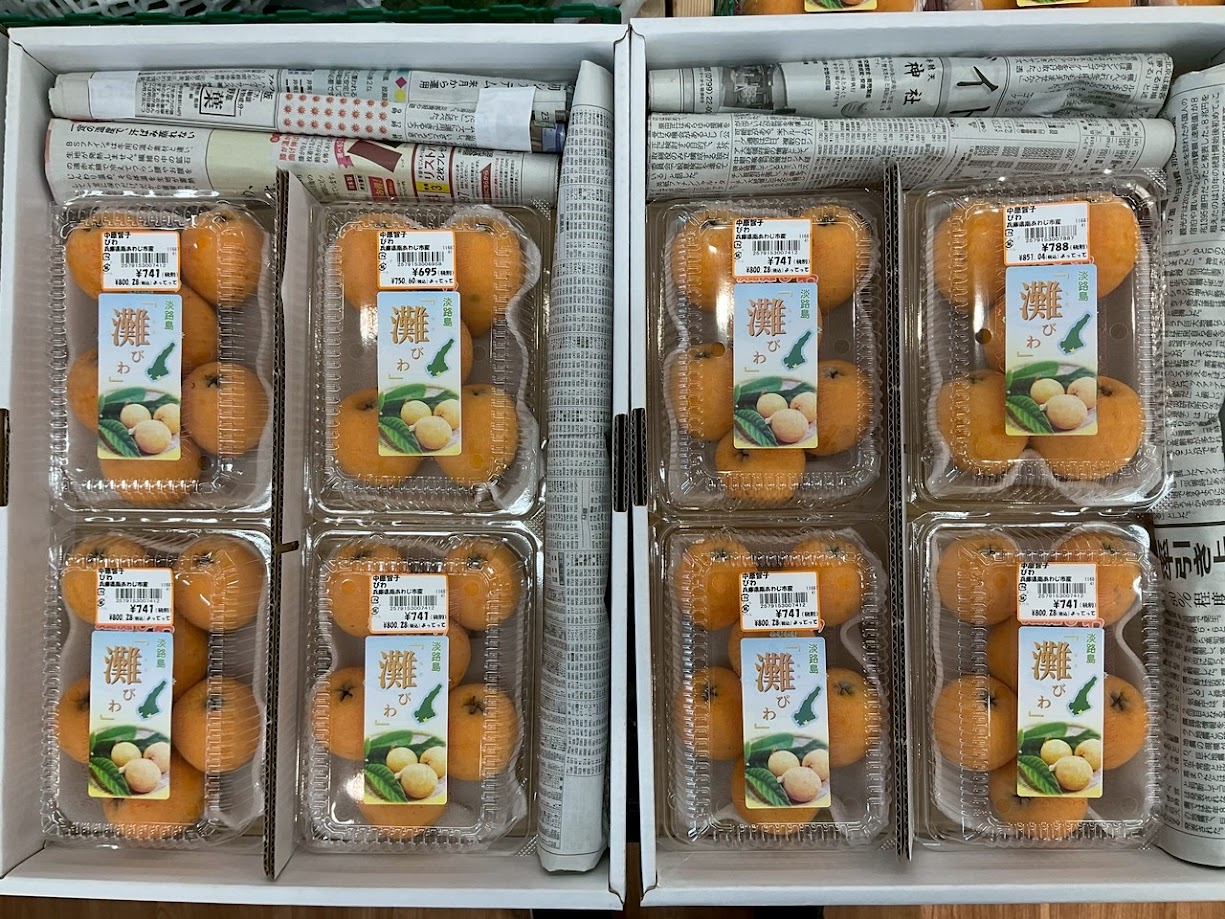 淡路島産「灘のびわ」！