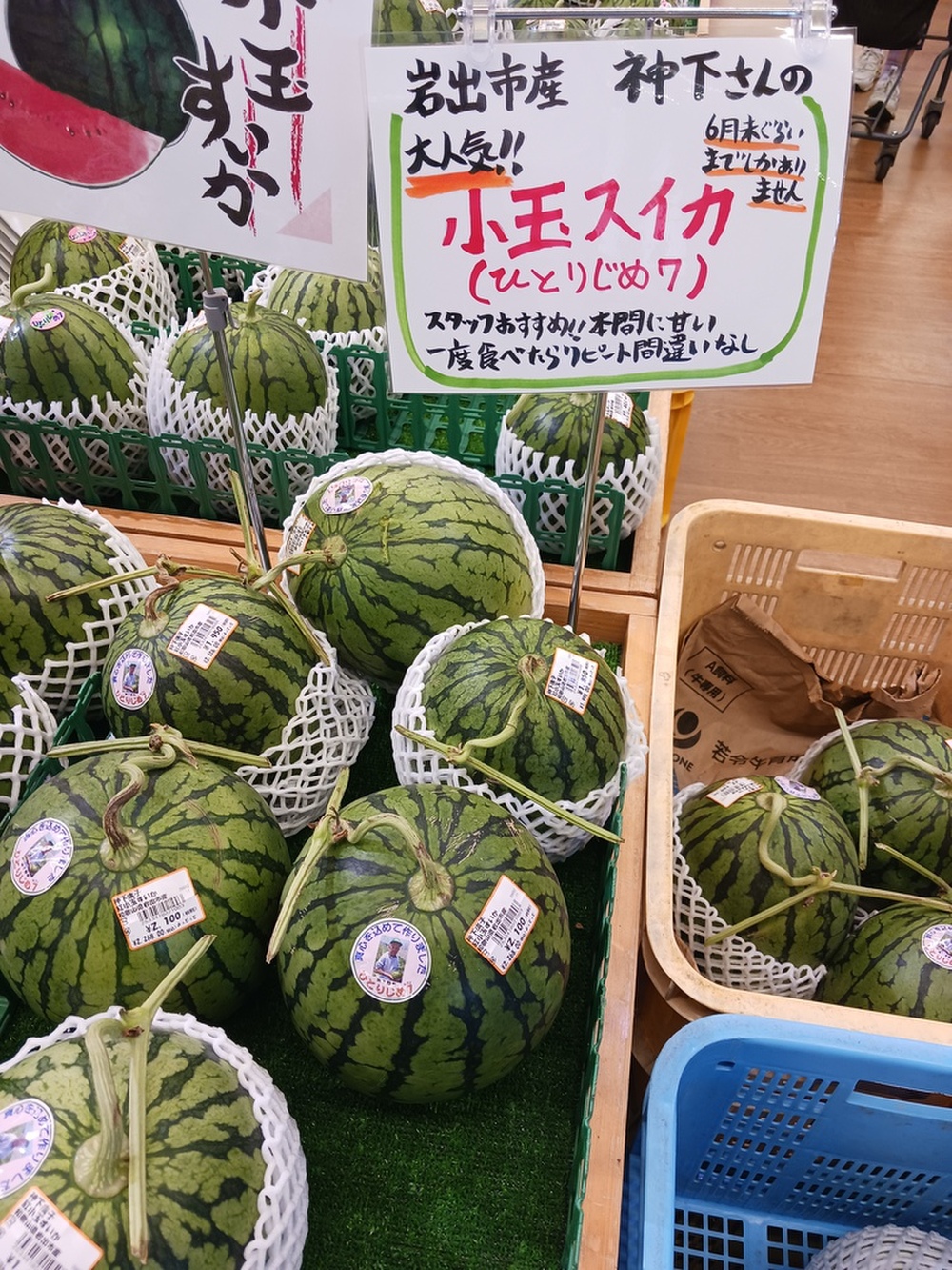 大人気「小玉すいか」！