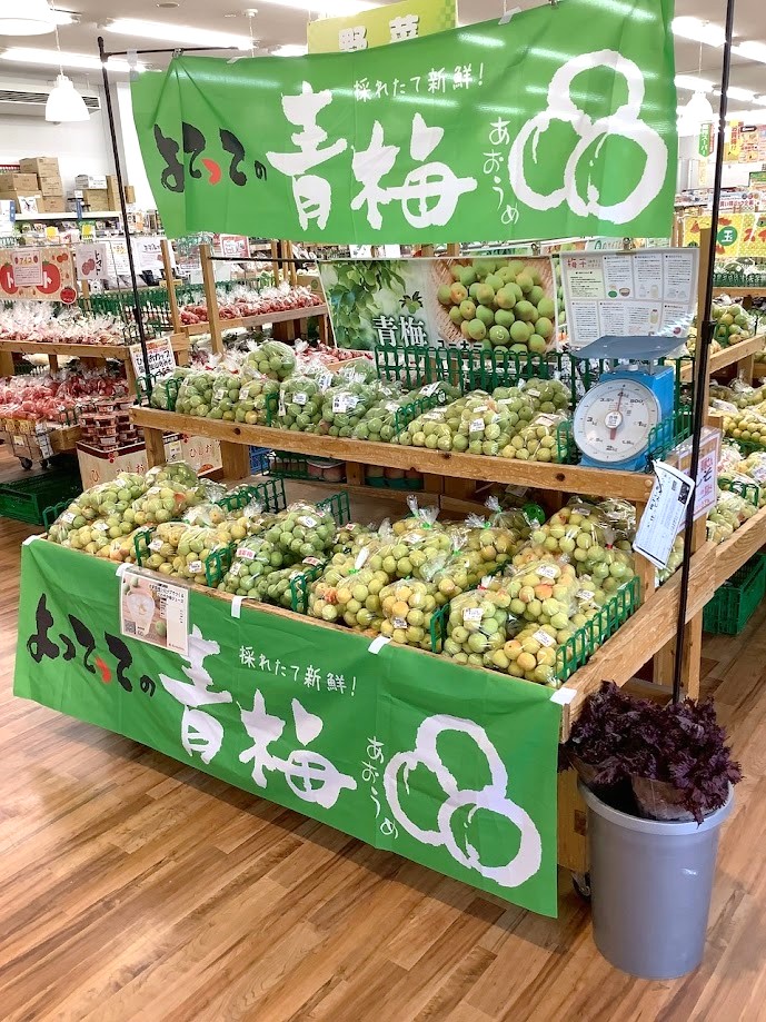 「南高梅・桃」おすすめです！