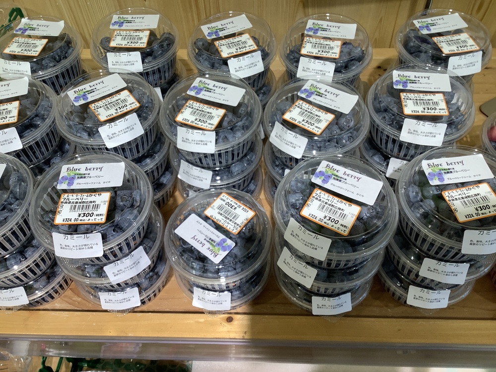 旬の「ブルーベリー」入荷中です！