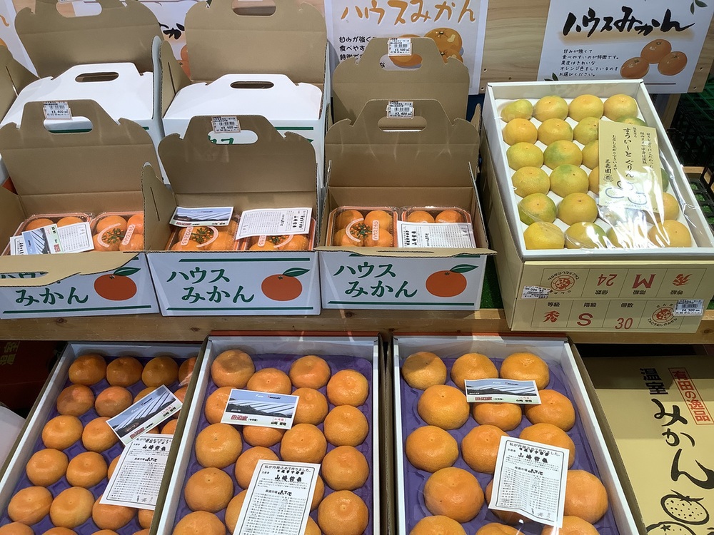 旬の「ハウスみかん」♪