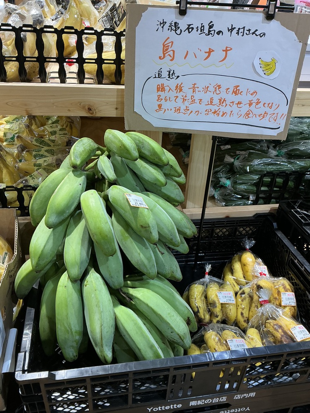 こんなの見たことない！「島バナナ」