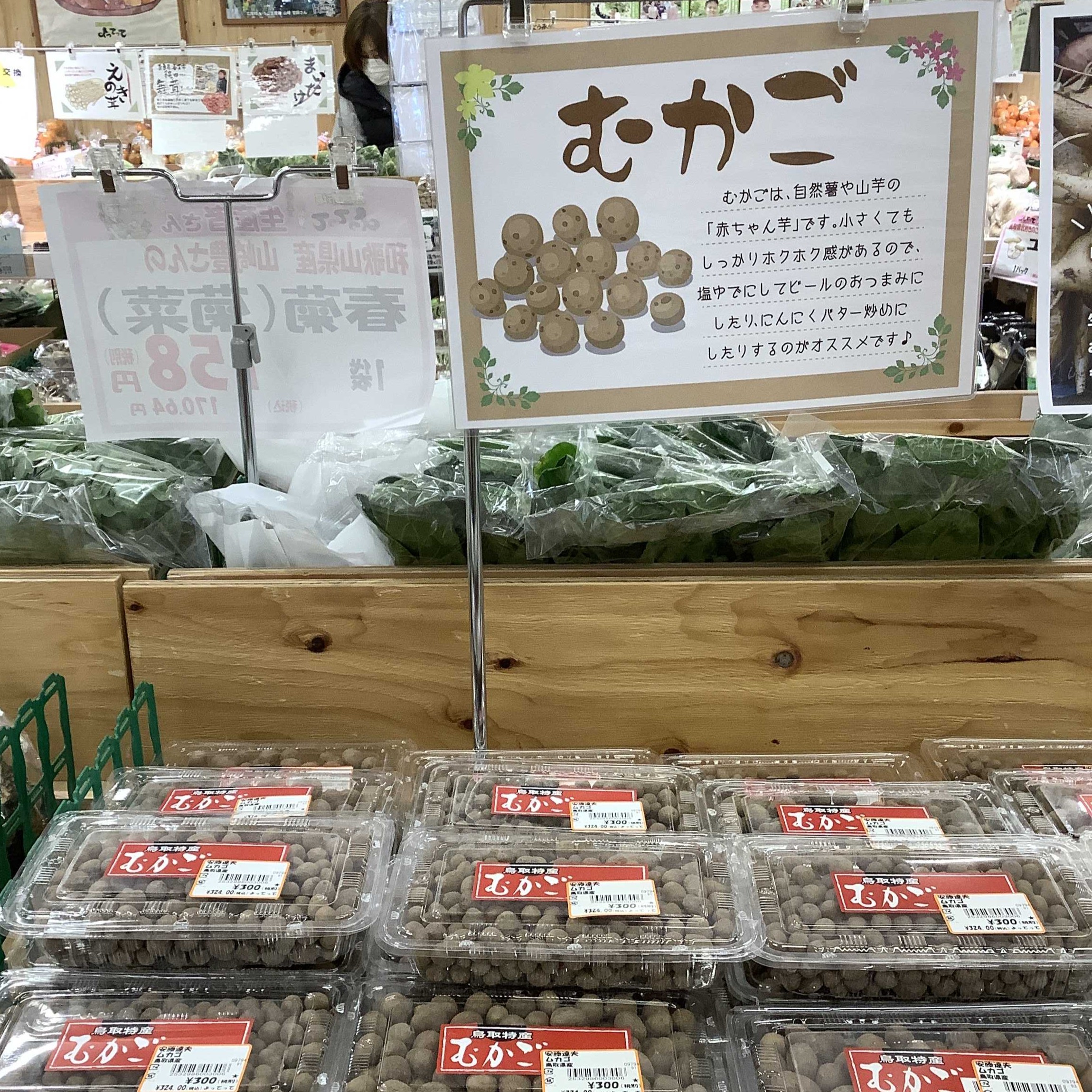 秋の味覚「むかご」入荷！