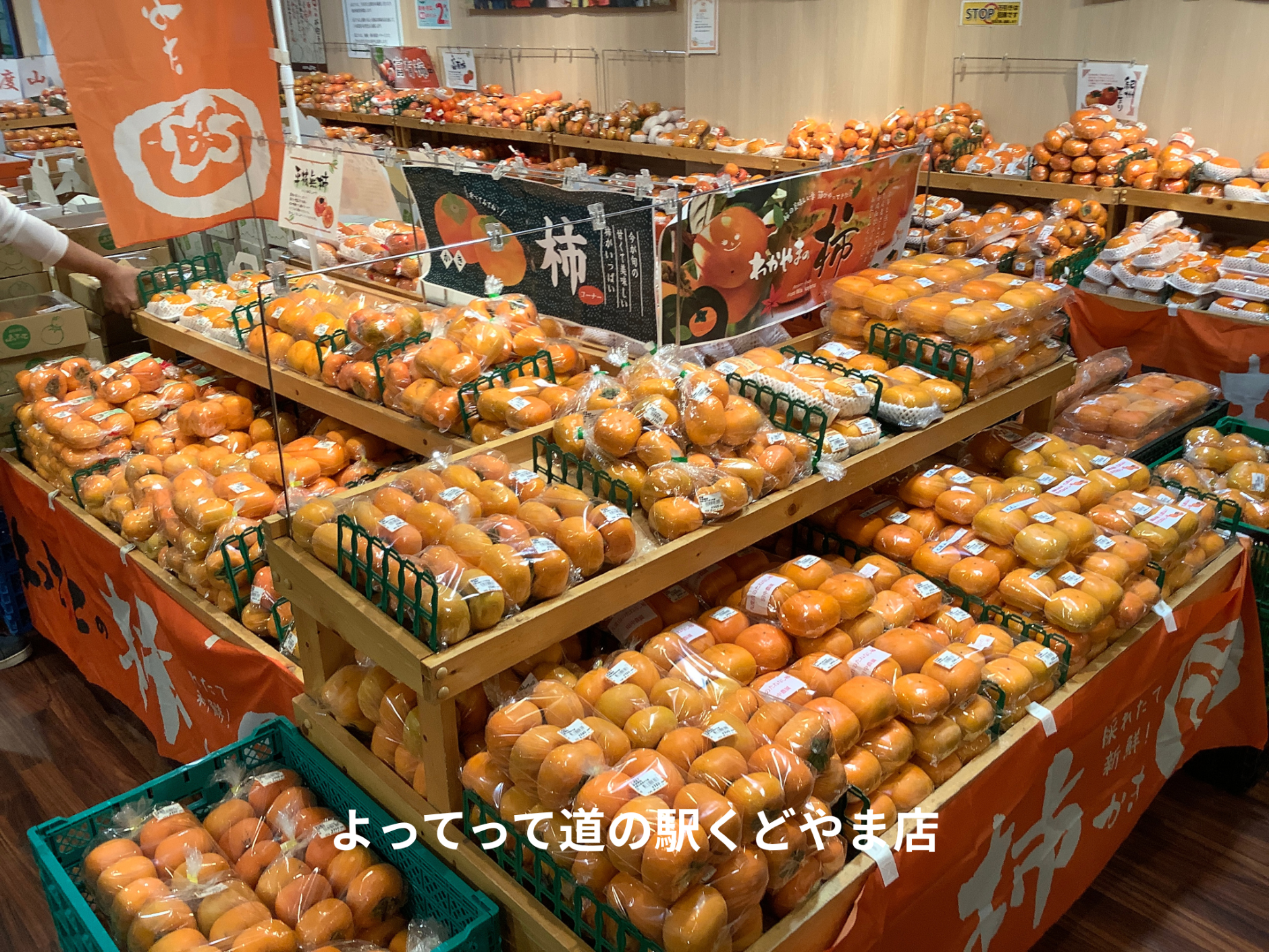 一面「柿」に囲まれております！