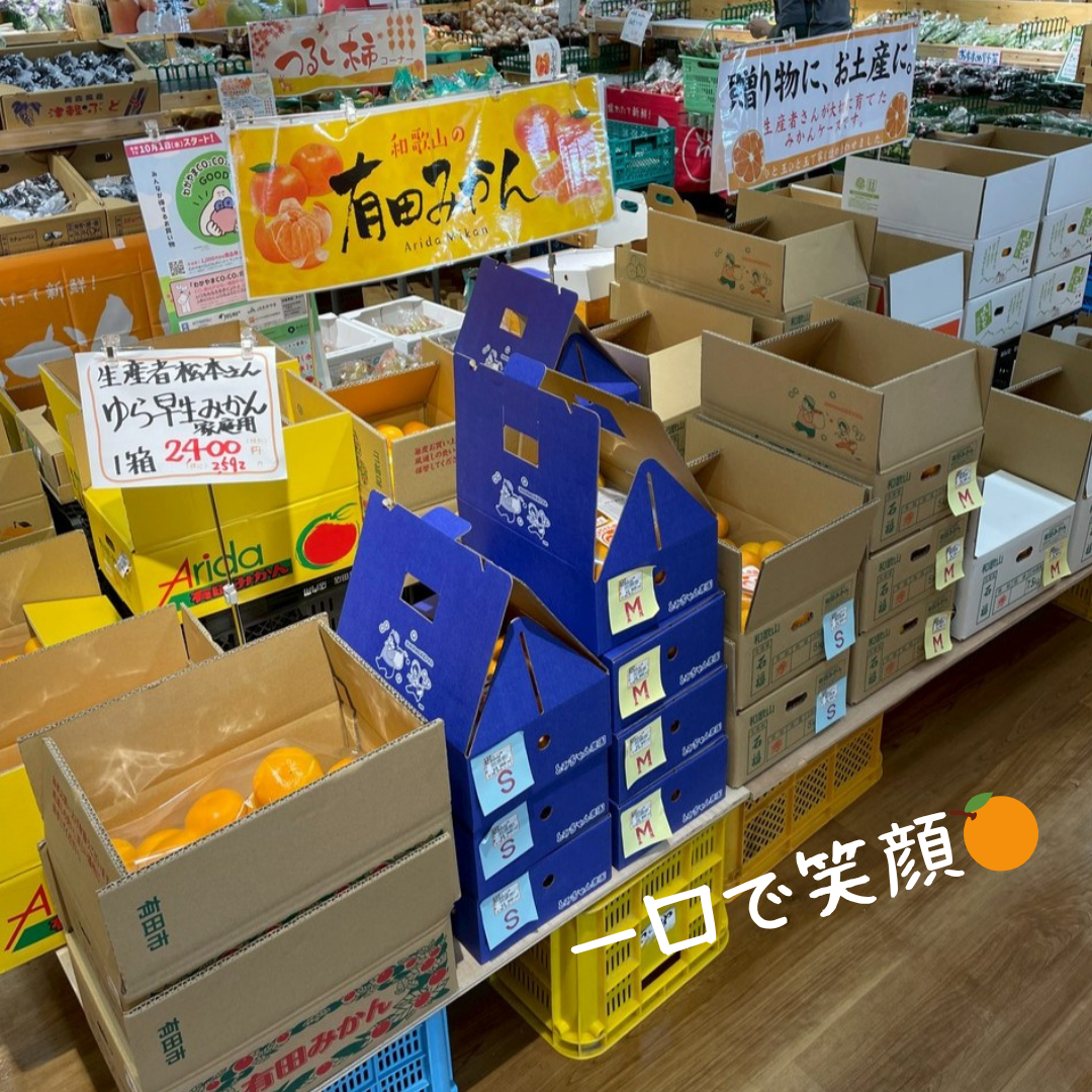 「有田みかん」おすすめ！