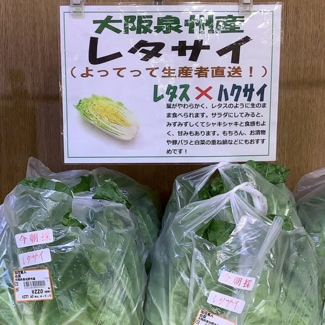 お鍋の季節がやってきた🍲