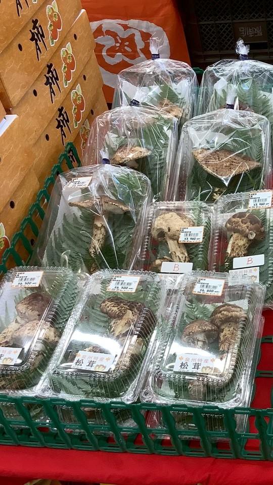 『松茸』入荷速報！