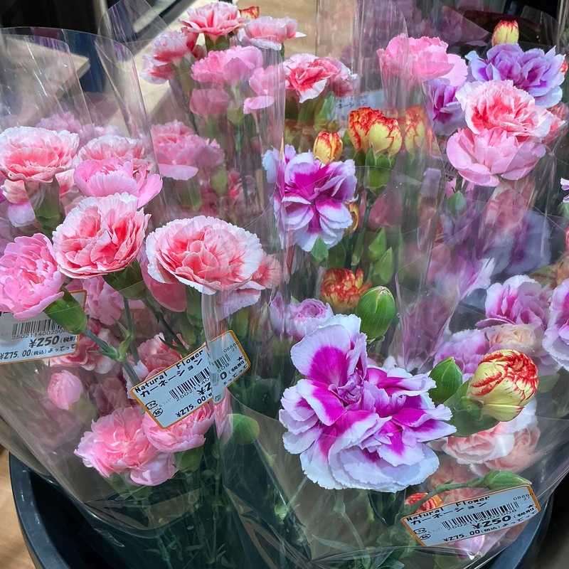 新鮮なお花いかがですか♪