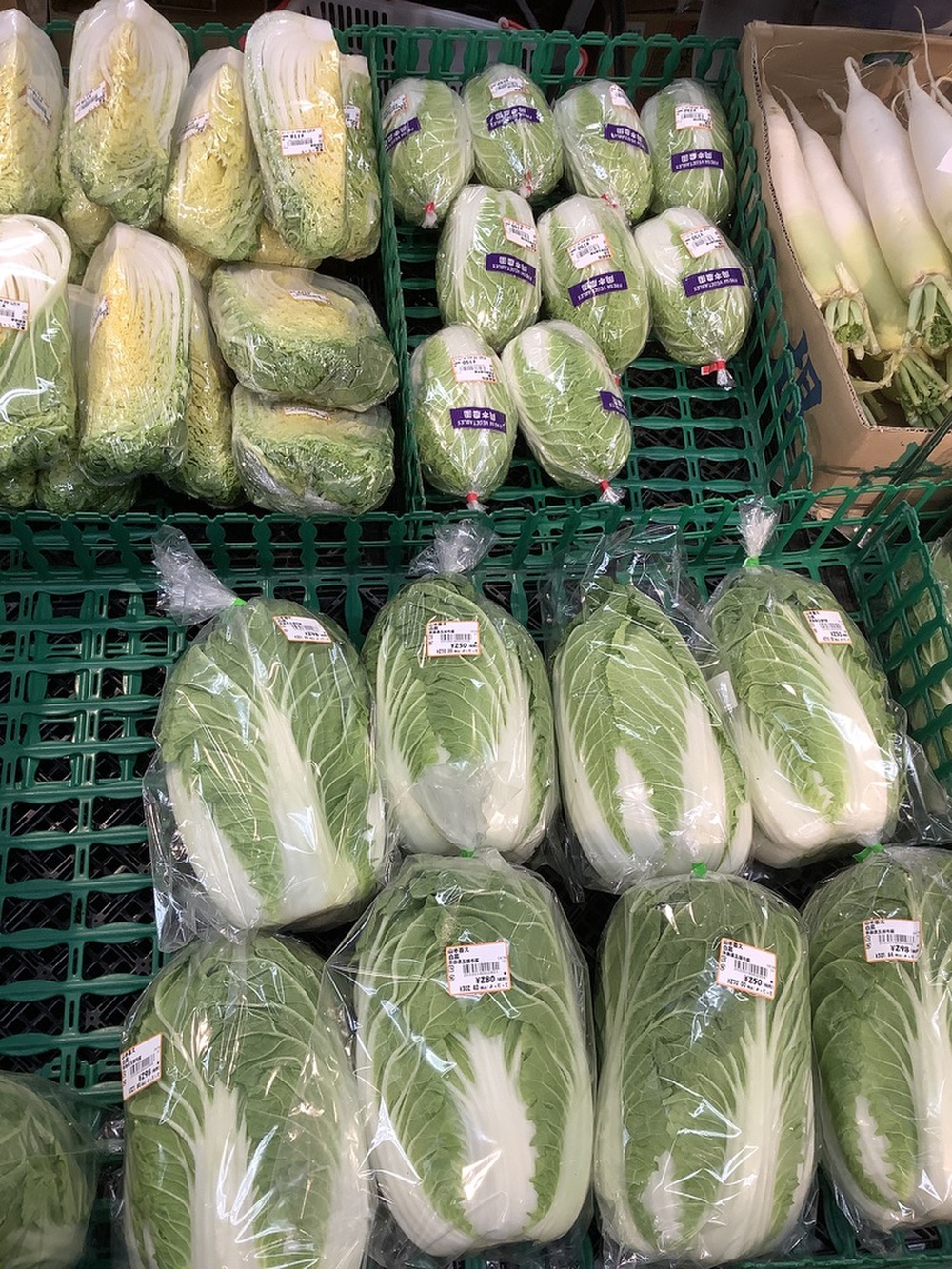 今夜はお鍋にしませんか♪