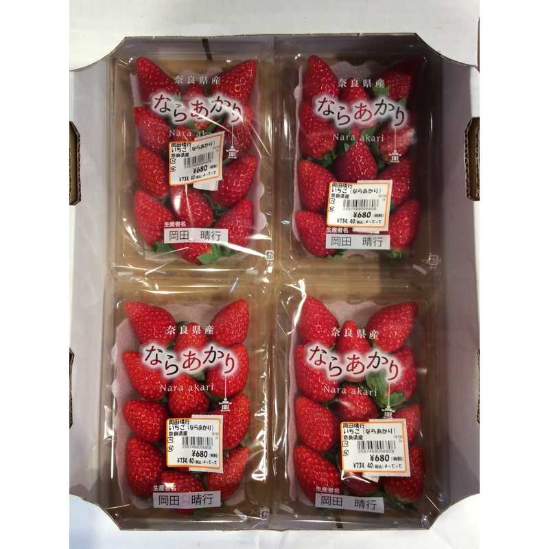 待ち侘びたいちごの季節です！