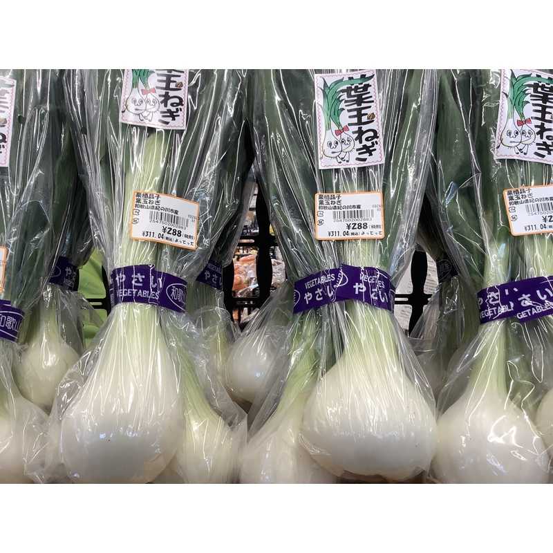 季節のお野菜『葉玉ねぎ』が入荷中！