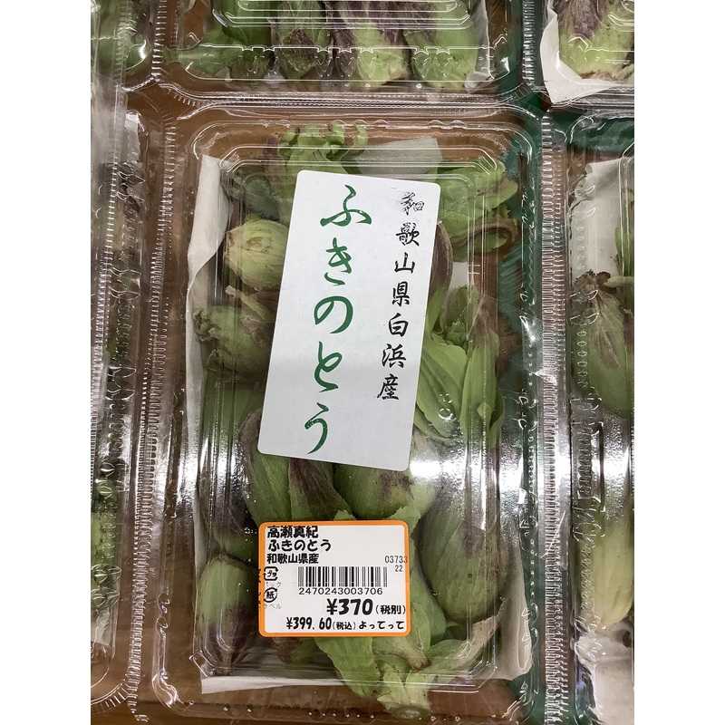 春の訪れ「ふきのとう」が入荷中！