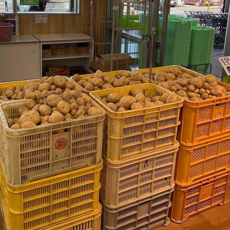 春の常連「新じゃがいも」入荷中！🥔✨