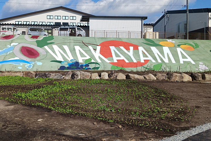 フルーツ王国WAKAYAMA フルーツ壁画